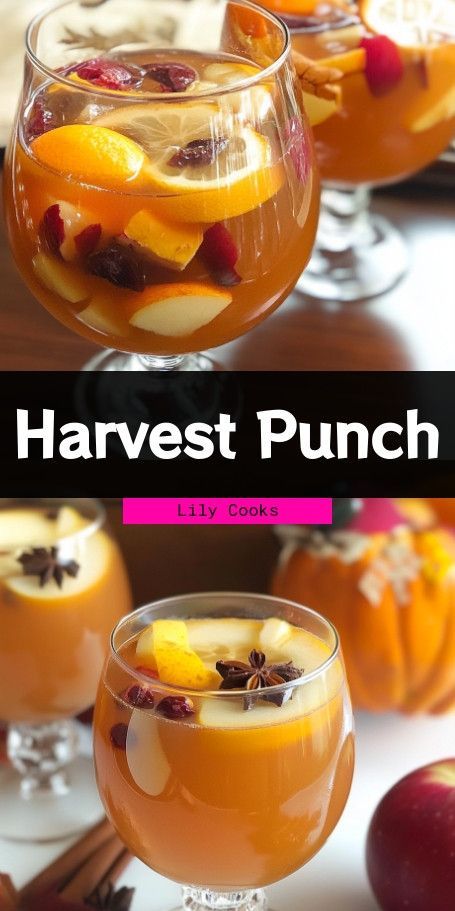 Thanksgiving Harvest Punch - Capture the essence of autumn with this refreshing punch filled with seasonal flavors like apple cider, cranberry juice, and spices. Perfect for holiday gatherings with family and friends! #ThanksgivingPunch #FallDrinks #HarvestPunch Holiday Apple Cider, Thanksgiving Apple Cider, Harvest Punch, Refreshing Punch, Cider Punch, Apple Cider Punch, Thanksgiving Punch, Season Of Gratitude, Cranberry Punch