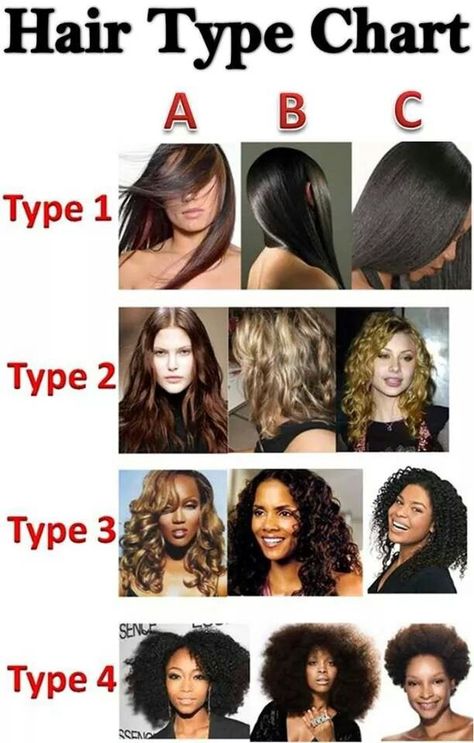 Hair type chart Bantu Braids, Hair Texture Chart, Type 2a Hair, Types Of Curly Hair, Hair Type Chart, Cantu Hair Products, Hair Chart, Character Descriptions, Hair History