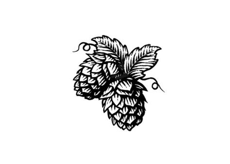 Steven Noble Illustrations: Hops Woodcut Brewery Tattoo, Hops Drawing, Beer Hop Tattoo, Beer Hops Tattoo, Hops Illustration, Beer Hops Art, Hops Tattoo Beer, Hop Illustration, Hop Tattoo