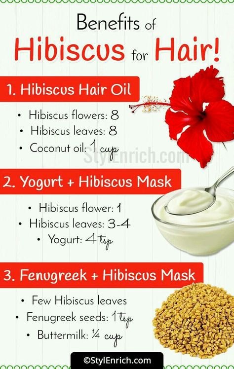 How To Make Hibiscus Oil For Hair Growth, Hibiscus Leaves For Hair Growth, Hibiscus For Hair Growth, Hibiscus For Hair, Plant Hibiscus, Hibiscus Hair, Herbal Hair Growth, Hibiscus Leaves, Homemade Hair Treatments