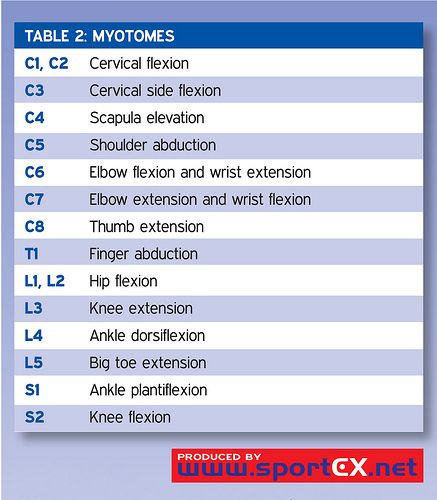 Myotomes Myotomes Chart, Dermatomes Charts, Osteopathy Techniques, Dermatomes And Myotomes Chart, Mblex Study Guides Massage Therapy, Benefits Of Physiotherapy, Physical Therapy School, Physical Therapy Student, Physical Therapist Assistant