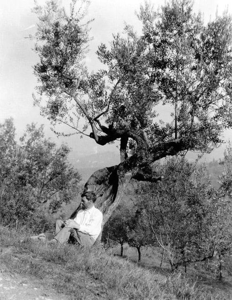 D.H. Lawrence beneath an olive tree at Villa Mirenda, San Polo Mosciano, c. 1926–27. Manuscripts and Special Collections, The University of Nottingham Dh Lawrence, D H Lawrence, University Of Nottingham, Student Newspaper, Writers And Poets, Literature Books, University Student, Favorite Authors, Photography Women