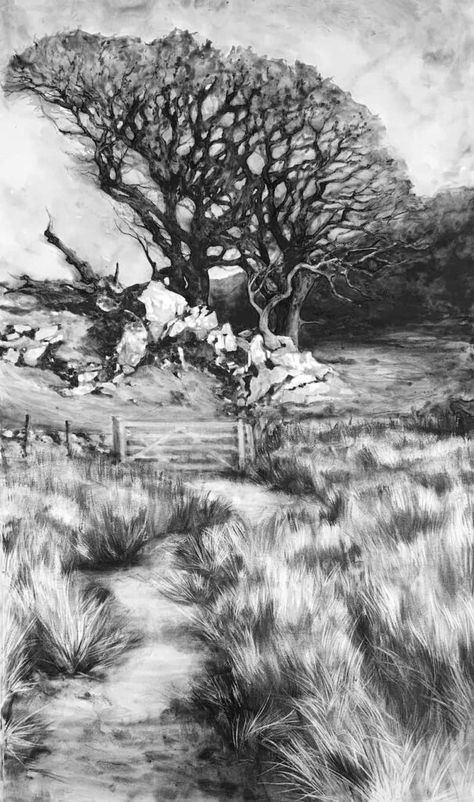 How to draw a landscape in charcoal - Artists & Illustrators Charcoal Art Landscape, Pencil Landscape Drawings, Charcoal Landscape, Landscape Step By Step, Charcoal Artists, Grass Drawing, Landscape Steps, Landscape Pencil Drawings, Best Charcoal