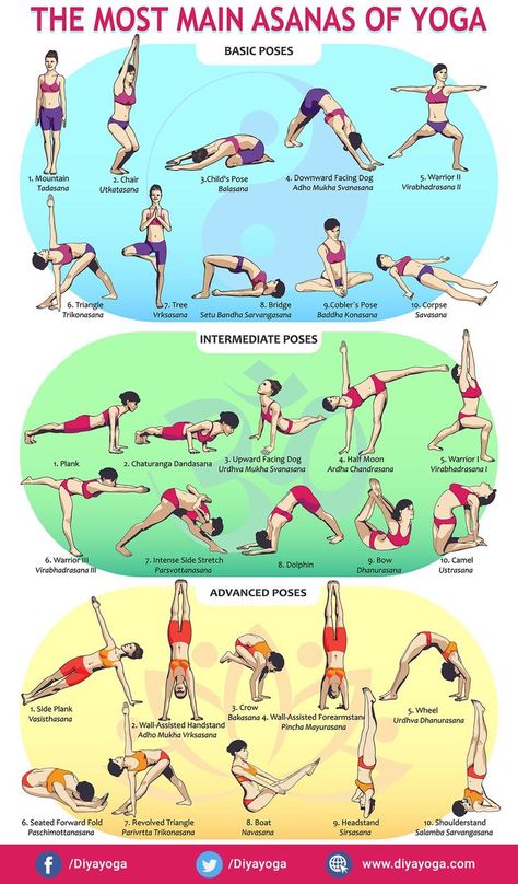 Yoga Poses & Asanas - Basic to Advanced Yoga Ashtanga, Ashtanga Vinyasa Yoga, Poses For Beginners, Yoga Poses Advanced, Yoga Beginners, Beginner Yoga, Yoga Posen, Advanced Yoga, Bikram Yoga