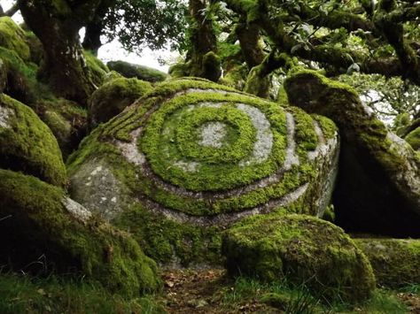 Vitality Aesthetic, Homestuck Aspects, Outdoor Altar, Grow Moss, Solas Dragon Age, Moss Covered, The Ancient Magus Bride, Fantasy Magic, Sacred Stones