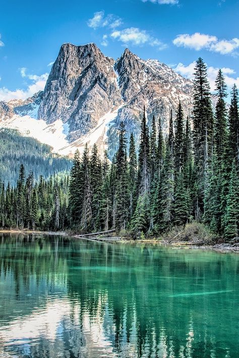 If you're looking for a breathtaking hike that will take your breath away, Emerald Peak in Yoho National Park is the perfect option. At 8,862 feet above sea level, it's not one of the tallest peaks in the area, but what it lacks in height it makes up for in beauty. With its sweeping vistas of the surrounding valleys and lakes, this 7.2-mile trail is definitely worth the effort. 📸: Vrevor Mckinnon Yoho National Park Canada, Best Nature Wallpapers, Yoho National Park, Nature Hd, Scenic Photos, Emerald Lake, Mountain River, Beautiful Locations Nature, Banff National Park