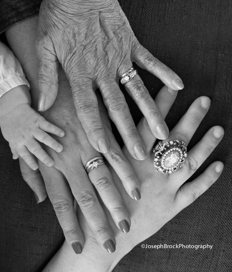 Four Generation Pictures, Family Generation Photography, 4 Generations Photo, Generation Pictures, Generations Photography, Big Family Photos, Generation Photo, Hand Photo, Hand Pictures