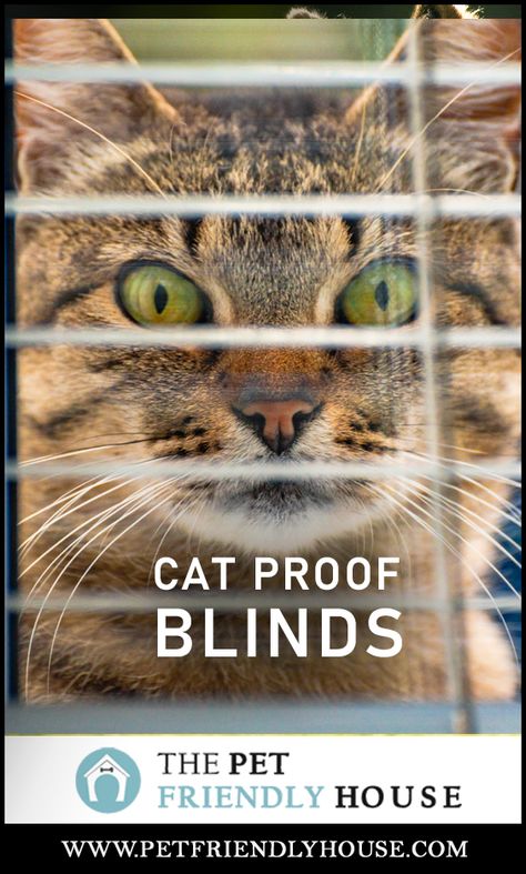 Cat Proof Window Blinds, Cat Proof Home Decor, Cat Proof Window Treatments, Cat Proof Curtains, Cat Friendly Window Treatments, Home Blinds, Sliding Door Window Treatments, Door Window Treatments, Best Blinds