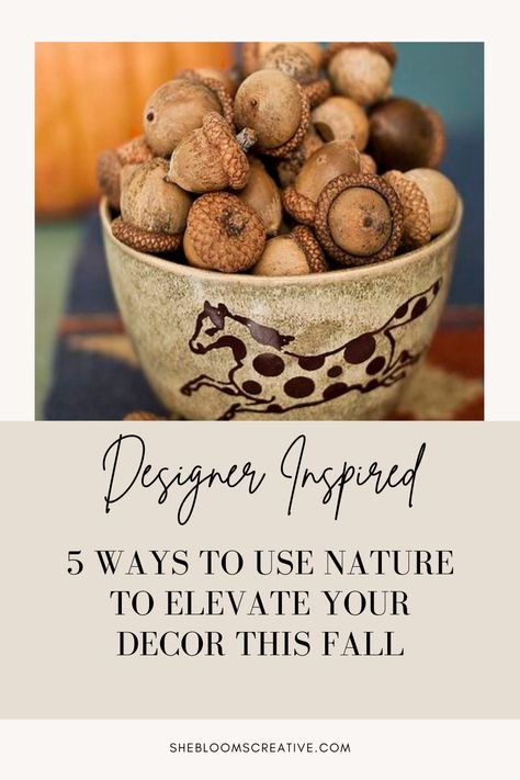 Changing out your home decor each season can get expensive! Let me show you 5 ways to decorate your home for FREE this fall! Fall Decor Mood Board, Fall Natural Decor, Eco Friendly Fall Decor, Natural Home Decor Ideas, Fall 2024 Home Decor, Natural Fall Decor Ideas, Free Fall Decor, Fall Decor From Nature, Natural Autumn Decor