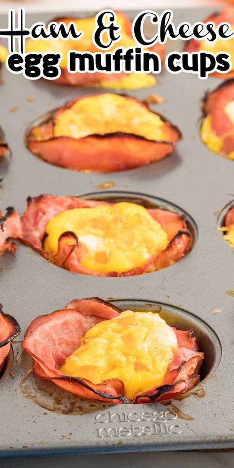 Low Carb Ham Egg And Cheese Cups, Keto Breakfast Cups Egg Muffins, Low Carb Egg Cups, Keto Breakfast Egg Bites, Egg Muffins Breakfast Ham, Keto Egg Muffins Low Carb, Ham And Cheese Breakfast Muffins, Keto Breakfast Cups, Keto Breakfast Egg Muffins