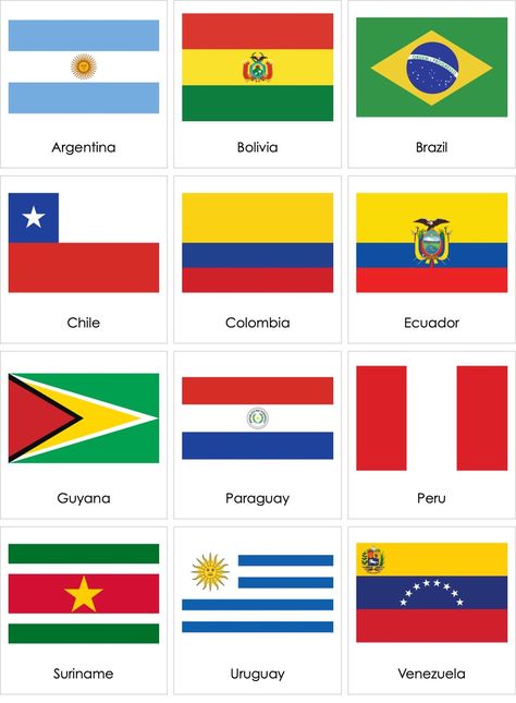 Flags of South American Countries | AMI Digital South American Flags, American Flag Coloring Page, South America Flag, America Continent, Geography Quiz, South America Map, Country Studies, Countries And Flags, Flag Coloring Pages