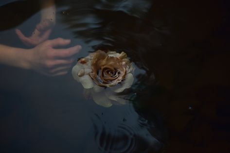 https://flic.kr/p/GSqdTn | This is the past now. 253/365 | A year's gone by were we stronger then or now?  www.aleahmichele.com facebook instagram Goddess Aesthetic, John Everett Millais, Water Aesthetic, Midnight Garden, Dark Feminine Aesthetic, Feminine Aesthetic, Dark Photography, In Water, Aesthetic Photo