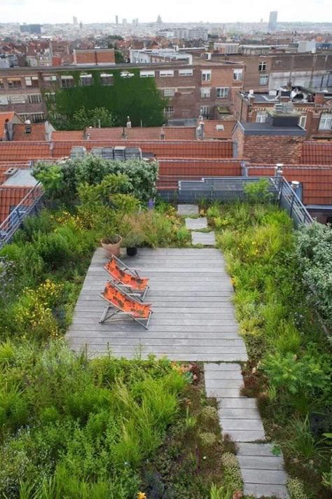 www.1001gardens.org/2014/02/urban-roof-terrace/  When nature conquer rooftop! I love this urban rooftop terrace, a cool place to relax in this world of concrete! Garden Ideas To Make, Elevated Garden, Rooftop Deck, Terrace Design, Rooftop Garden, Apartment Garden, Roof Terrace, Roof Garden, Rooftop Terrace