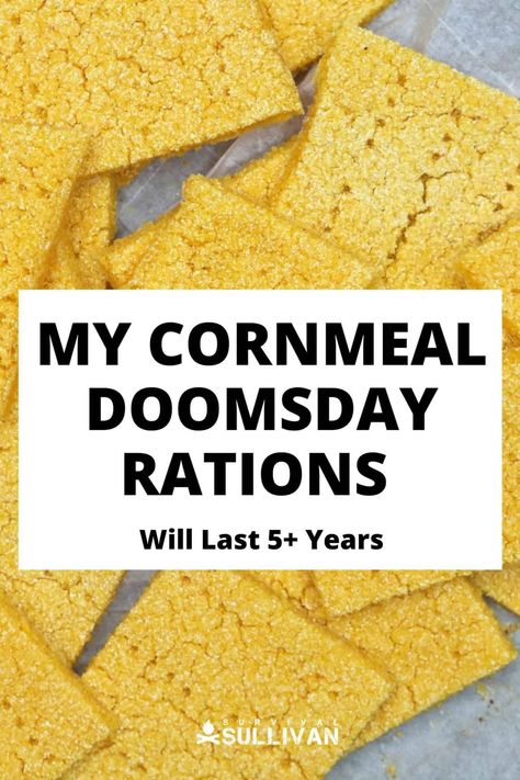 Long-lasting survival food is all the rage, but you can make your own doomsday rations at home with this recipe. #survivalfood #rations #doomsday Survival Recipes, Emergency Rations, Best Survival Food, Survival Food Storage, Food Shelf Life, Food Rations, Emergency Preparedness Food, Food Medicine, Homemade Sweets