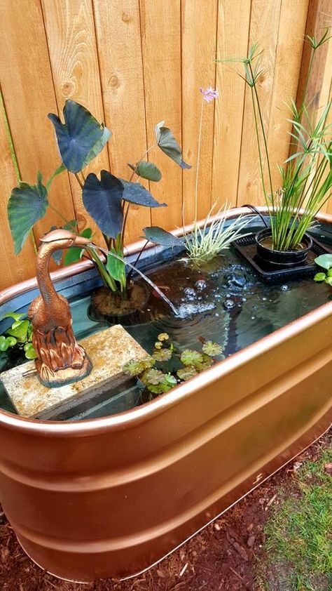 25 Spectacular Outdoor Mini Water Garden Ideas | Balcony Garden Web Ponds Ideas, Koi Pond Ideas, Small Water Gardens, Container Water Gardens, Patio Pond, Indoor Water Garden, Backyard Ponds, Diy Pond, Fountains Backyard