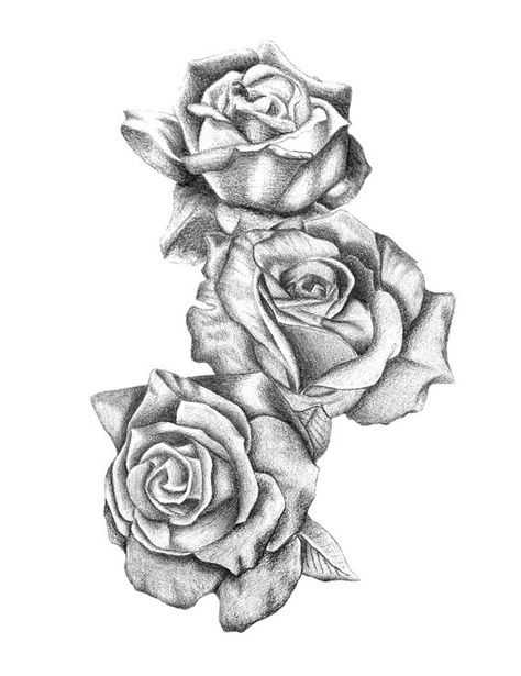 Rose Drawing Tattoo, Rose Tattoo Sleeve, Tattoo Zeichnungen, Rose Tattoo Design, Rose Drawing, Roses Drawing, Hip Tattoo, Tattoo Sleeve Designs, Fake Tattoos