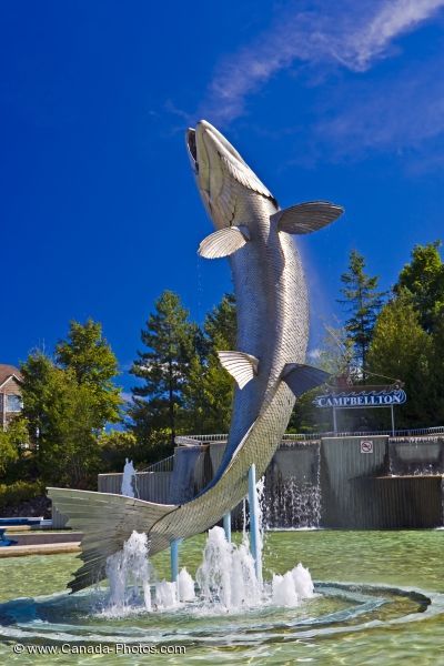 statues nb canada | Picture of Atlantic Salmon Statue Restigouche River New Brunswick Nature, Fish Statue, Roadside America, Fish Carving, Canada Pictures, Park Ideas, Atlantic Salmon, Canada Photos, Fish Sculpture