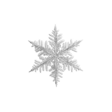 Christmas Items Png, Winter Pngs Aesthetic, Aesthetic Pictures Png, Snowflake Png Aesthetic, Cute Icons Christmas, Christmas Widgets White Background, Png Christmas Images, Winter Png Aesthetic, White Christmas Widgets