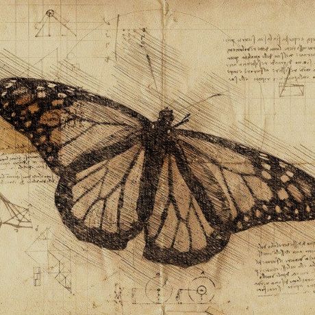 Butterflies Aesthetic Vintage, Light Grunge, Grunge Posters, Sage Green Wallpaper, Arte Grunge, Butterfly Poster, Brown Painting, Vintage Icons, Butterfly Pictures