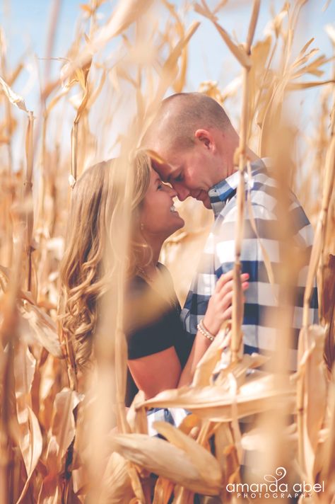 Fall Engagement Photos: 🍂 10 Best Inspirations - My Sweet Engagement Corn Engagement Pictures, Corn Field Wedding Photography, Corn Field Maternity Pictures, Fall Family Photos Corn Field, Corn Field Couple Photos, Corn Field Family Pictures, Wheat Field Couple Pictures, Engagement Photos Corn Field, Family Photos Corn Field