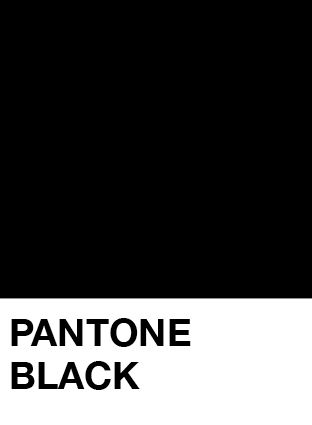 Pantone Black Pantone Black Shades, Pantone Black Palette, Pantone Noir, Black Color Swatch, Black Pantone, Pantone Black, Pantone Palette, Pantone Colour Palettes, Black Color Palette