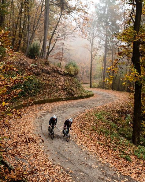 Winter is coming! Get ready. #lovemywilier #wintercycling #cycling #ciclismo #roadbike photo: @alexluise Autumn Cycling, Biking Aesthetic, Bike Riding Benefits, Biking Benefits, Cycling Photography, Road Bike Women, Mountain Bike Shoes, Winter Cycling, Cycling Photos