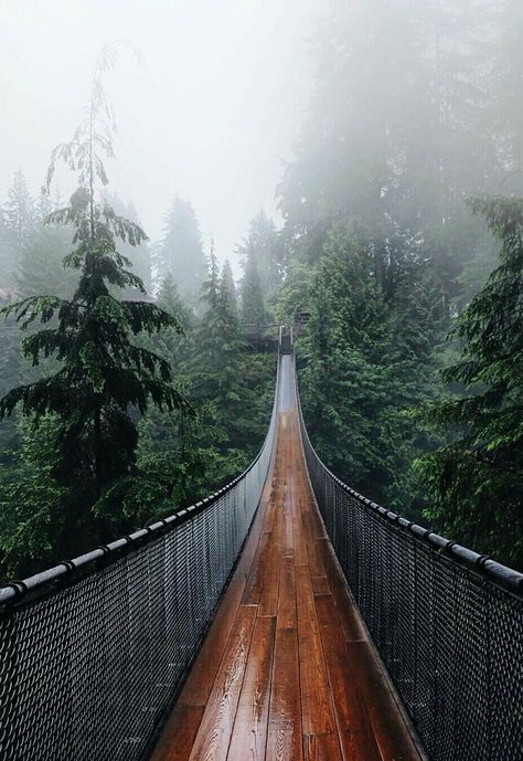 Vancouver, Canada -- Capilano Suspension Bridge Suspension Bridge Vancouver, Capilano Suspension Bridge, Scenery Background, Nature Hikes, Leyte, Suspension Bridge, Conde Nast Traveler, Vacation Places, Pretty Places