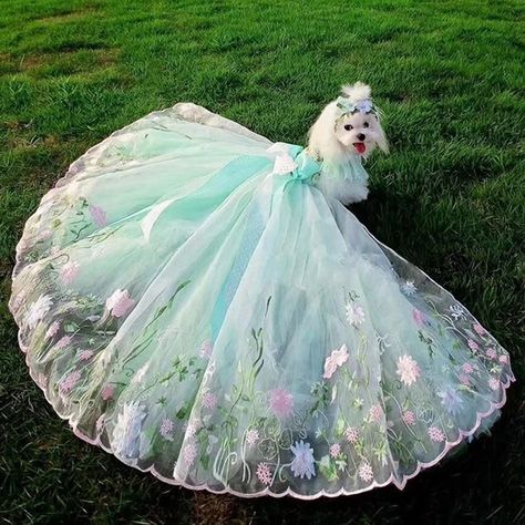 Dog Wedding Dress Pets, Puppy Wedding, Dog Fancy Dress, Dog Wedding Attire, Dog Wedding Dress, Fancy Dog, Wedding Skirt, Dog Clothes Patterns, Pet Dress