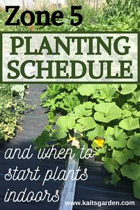 Fall Gardening In Zone 5, Fall Garden Vegetables Zone 5, What Seeds Can You Start Indoors In February Zone 5, Garden Next To House, Zone 5 Fall Planting, 5b Planting Schedule, Vegetable Garden Zone 5, Seed Starting Indoors Calendar Zone 5, Fall Planting Vegetables Zone 5