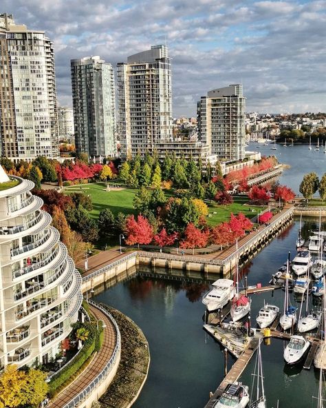 VANCOUVER 🇨🇦 on Instagram: “The colours of our city! 🧡💚⁠ Photo: @calledesign” Vancouver City Aesthetic, Vancouver Aesthetic, Vancouver Canada Photography, Canada Aesthetic, Cities Skylines, Vancouver City, Canada Photos, January 2025, Traveling Abroad