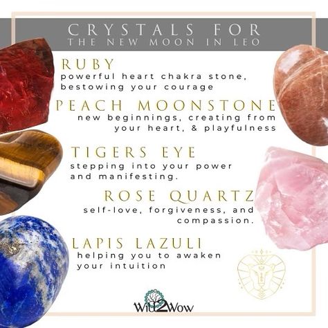 Crystal Recommendations for the Leo New Moon #crystalhealing #crystallove #crystalaforthenewmooninleo #leonewmoon #lapislazuli #ruby #peachmoonstone #tigereye #rosequartz #newmoonritual New Moon In Leo Crystals, Crystal Intentions, Leo New Moon, New Moon In Leo, Moon In Leo, New Moon Rituals, Witch Spirituality, Zodiac Stones, Crystal Cave