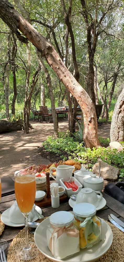 Sabi Sands South Africa, Lodges South Africa, Bush Camp, Game Reserve South Africa, Bush Lodge, Sand Game, Lodge Ideas, You're The One, Camping Spots