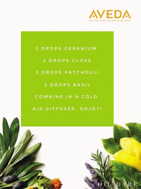 Aveda Tea Recipe, Aveda Essential Oil Recipe, Aveda Blue Oil Recipe, Aveda Essential Oil Blend, Aveda Diffuser Blend, Aveda Oil Blend, Smells Like Aveda, Essential Oil Diffuser Blends Recipes, Essential Oil Mixes