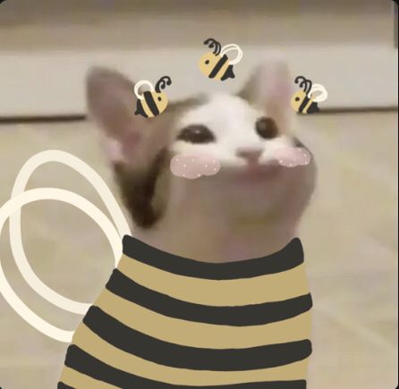 Minecraft, Bee