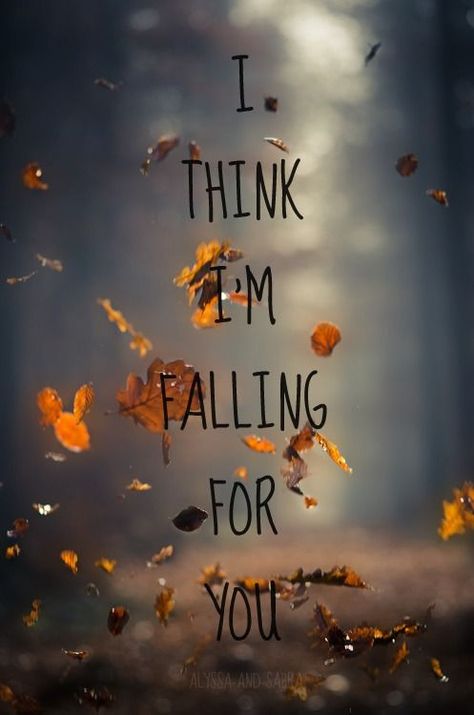 I think I'm falling for you Falling For You Quotes, Im Falling For You, Im Falling, Autumn Quotes, You Quotes, Sweet Quotes, The Perfect Guy, Best Picture, Fall For You