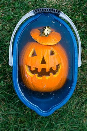 How to Prevent Pumpkins from Rotting And Keep Your Jack-O-Lantern Looking Fresh for Weeks How To Keep Your Pumpkin From Rotting, Keeping Pumpkins From Rotting, Pumpkin Carving Hacks, Witch Pumpkin Carving, Preserve Carved Pumpkin, Creative Pumpkin Decorating, Halloween Tricks, Halloween Science, Halloween Pumpkins Painted