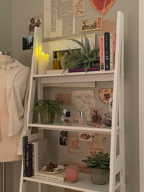 Storage Ladder Bedroom, Ladder Bookshelf Decor Bedroom, Bookshelf White Aesthetic, Bookcase Decor Aesthetic, Bookshelf Decor Bedroom Aesthetic, Dorm Bookshelf Decor, Shelving Inspo Bedroom, Bookcase Aesthetic Bedroom, Standing Shelf Decor Bedroom