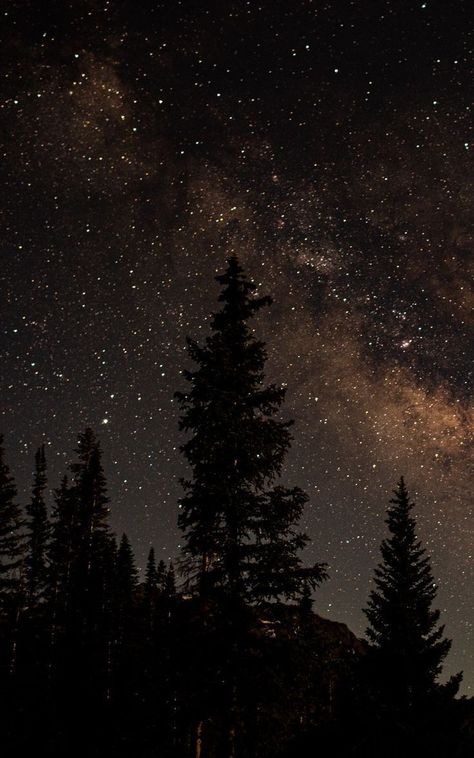 Dark Starry Night Aesthetic, Dark Sky Aesthetic Stars, Sky And Stars Wallpaper, Stars Dark Aesthetic, Dark Forest Aesthetic Night, Dark Stars Aesthetic, Wallpaper Trees Nature, Night Nature Aesthetic, Dark Sky With Stars