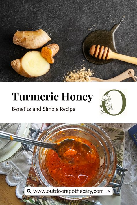 Discover the powerful blend of turmeric and honey in this simple yet effective recipe. Ideal for boosting immunity and fighting inflammation, this natural elixir is easy to prepare and a wonderful addition to teas or as a daily spoonful. Embrace the health benefits of these two potent ingredients and learn how to create this remedy in just five minutes. Visit for detailed insights and tips. #TurmericHoney #NaturalRemedies #HealthyLiving Honey And Turmeric Benefits, Honey And Turmeric, Tumeric And Honey, Honey Turmeric, Fresh Turmeric Root, Healthy Pantry, Benefits Of Turmeric, Inflammatory Recipes, Turmeric And Honey