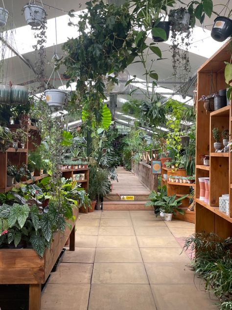 Garden Centre Aesthetic, Plant Store Aesthetic, Plants And Coffee, Plants House, Plant Store, Dream Future, Busy Morning, Plant Shop, Garden Centre