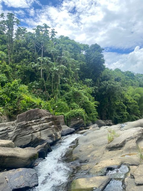 El Yunque National Forest, National Forest, Forest