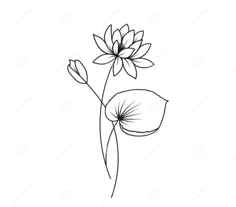 Lotus Flower Lilly Pad Tattoo, Water Lily Outline Tattoo, Water Lily With Stem Tattoo, Water Lily Small Tattoo, Waterlily Drawing Tattoos, Waterlily Drawing Simple, Easy Water Lily Drawing, Water Lily Drawing Tattoo Ideas, Water Lily Minimalist Tattoo