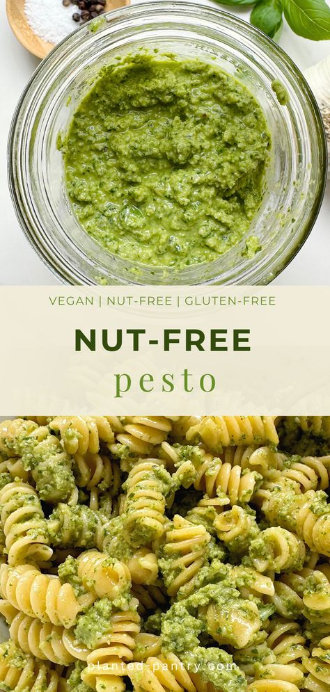 This vegan nut-free pesto is delicious, easy to make, and perfect for pasta, sandwiches, or as a dip! Vegan Nut Free Pesto, Dairy Free Nut Free Pesto, Raw Vegan Pasta, Oil Free Pesto, Pesto Soup, Nut Free Pesto, Dairy Free Pesto, Organic Cooking, Vegan Pesto