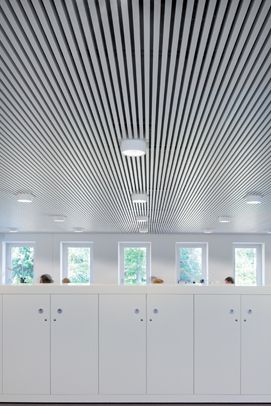 Wood Ceiling Office, Slat Ceiling, Basement Window Replacement, Ceiling Architecture, Ceiling Office, Metal Ceilings, Vintage Tin Ceiling Tile, Basement Layout, Basement Windows