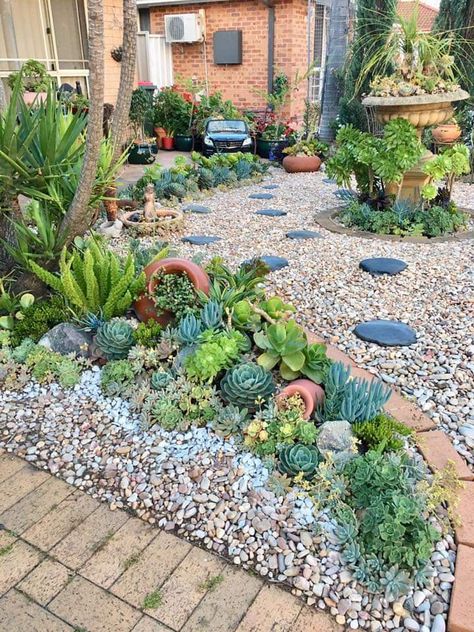 Succulents And Rocks Landscaping, Front Yard Landscaping With Succulents And Rocks, Rockery Border Ideas, Grass And Succulent Garden, Front Yard Succulents, Small Yard Landscaping Low Maintenance, Succulent And Rock Landscaping, Cacti Rock Garden, Front Yard Rock Garden Landscaping