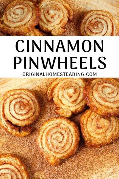 Pie Crust Cinnamon Pinwheels | A Rich Pastry Cookie Pinwheel Pastry Recipes, Pie Crust Pinwheel Cookies, Pie Crust Cinnamon Pinwheels, Pie Crust Cinnamon Twists, Cinnamon Pinwheel Cookies, Pecan Pinwheels Recipe, Pie Crust Pinwheels, Dessert Pinwheels, Pecan Pinwheels