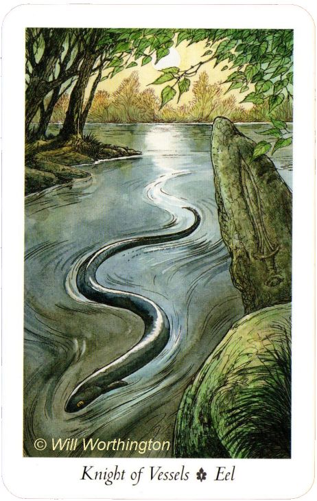 The Wildwood Tarot  Knight of Vessels Eel Wildwood Tarot, Tarot Decks Art, Knight Of Cups, Tarot Gifts, Animal Symbolism, Scottish Castles, Tarot Card Meanings, Tarot Card Decks, Tarot Art