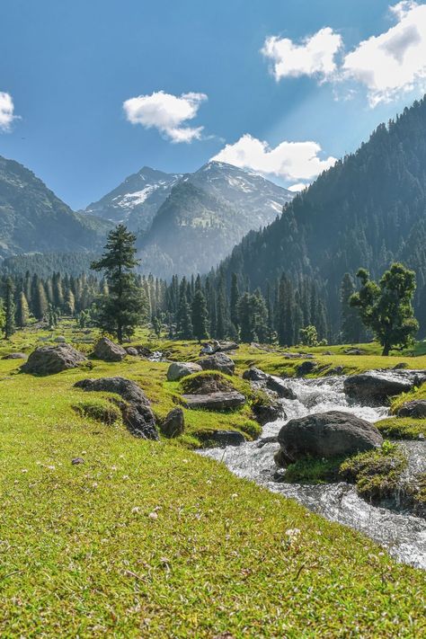 If Landscapes attracts you, then Kashmir Landscape is among the finest you will going to see in India.  You can catch more of these on my Instagram  #landscape #photography #travel #guide #kashmir #aru #valley #pahalgam #india #tourism Nature, Kashmir Mood Board, Aru Valley Pahalgam, Jamu Kashmir Photography, Aru Valley Kashmir, Kashmir India Beauty, Pahalgam Kashmir Photography, Kashmir Aesthetic Pictures, Kashmir Background