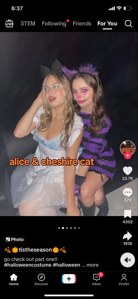 Alice And Cheshire Cat Duo Costume, Cheshire Cat Dress Up, Alice And Cat Costume, Alice In Wonderland And Cheshire Cat, Female Cheshire Cat Costume, Alice And Cheshire Cat Costume Duo, Alice And Wonderland Cat Costume, Chestshire Cat Costume, Alice And The Cheshire Cat