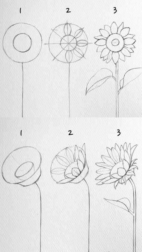 Drawings Of Sunflowers Easy, Easy Draw Sunflower, Sunflower Colored Pencil Drawing, Beginner Things To Draw, Cute Easy Sketches To Draw, Sun Flower Drawing Doodles, Easy Drawings For Beginners Flowers, Flower Drawing Steps, How To Paint A Sunflower Easy